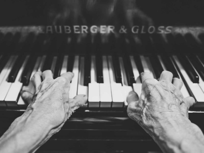 野兽派狂想<br>qyn4ntkw.cn 马蒂斯剪纸